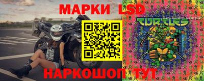 прущие грибы Ставрополь