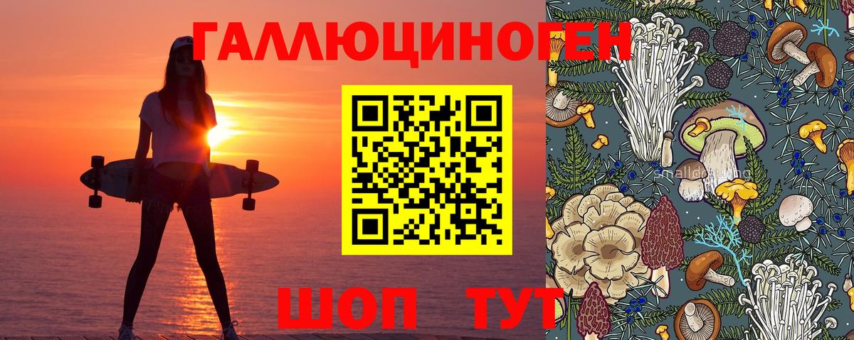 Галлюциногенные грибы ЛСД  где можно купить наркотик  Азнакаево  Псилоцибиновые грибы GOLDEN TEACHER  Вход с VPN 
